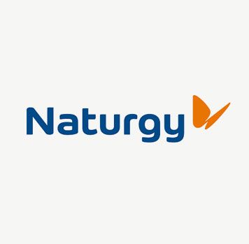 Group Instals Ser SL. logo Naturggy