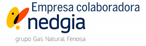 Group Instals Ser SL. logo Nedgia