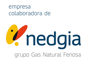 Group Instals Ser SL. logo Nedgia